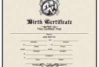 Birth Certificate Fake Template 6