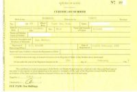 Birth Certificate Fake Template 8