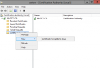 Certificate Authority Templates4