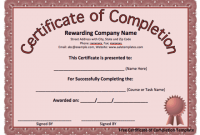Certificate Of Completion Template Word 12