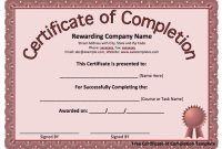 Certificate Of Completion Word Template 6