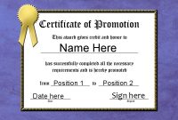 Promotion Certificate Template 13