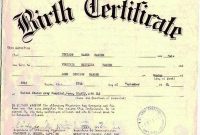 South African Birth Certificate Template 5