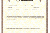 Certificate Of origin for A Vehicle Template2