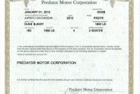 Certificate Of origin for A Vehicle Template9