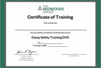 Template for Training Certificate 6