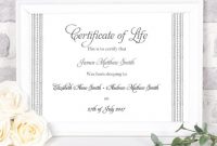 Baby Death Certificate Template 2