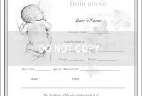Baby Death Certificate Template 4