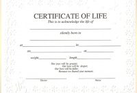 Baby Death Certificate Template 8