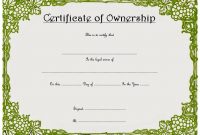 Ownership Certificate Template 11