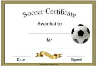 Soccer Certificate Templates for Word 3