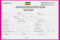 Crvs – Birth, Marriage And Death Registration In Ethiopia – Unicef Data with Girl Birth Certificate Template