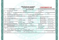 Pinterest pertaining to Novelty Birth Certificate Template