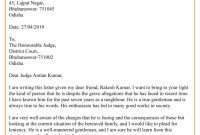Example Of Character Reference Letter To Judge Template inside Letter To A Judge Template