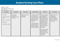 1,000+ Nursing Care Plans: The Ultimate Guide And Database inside Nursing Care Plan Templates Blank