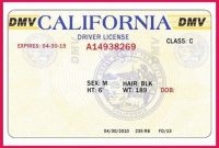 Blank State Id Templates Pdf – Yahoo Image Search Results in Blank Drivers License Template