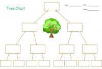 Blank Tree Chart For Students And Kids. Printable Pdf Format intended for Blank Tree Diagram Template