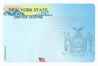 Drivers License Template Driver | Drivers License, Templates pertaining to Blank Drivers License Template