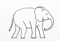 Elephant Outline Blank Elephant Template Bear Ideas On Jpg inside Blank Elephant Template
