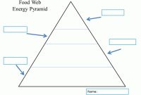 Food Web Energy Pyramid Template | Energy Pyramid, Food Web pertaining to Blank Food Web Template