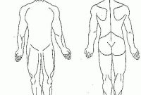 Human Body Diagram Blank | Human Body Diagram, Body Diagram with Blank Body Map Template