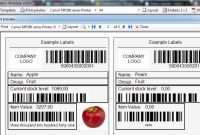 Label Designer – User's Manual – Lomag in Inventory Labels Template
