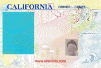 Pin On Ca Drivers License within Blank Drivers License Template