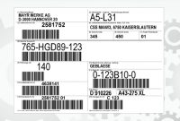 Vorlagen: Vda 4902, Global Transport Label, Gtl, Galia Label inside Fedex Label Template Word