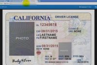 Beautiful Of Blank Drivers License Template Texas Id Card regarding Texas Id Card Template