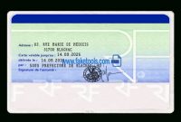 France Id Card Template intended for French Id Card Template