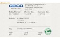 Geico Insurance Card Template – Free Download | Card inside Auto Insurance Card Template Free Download