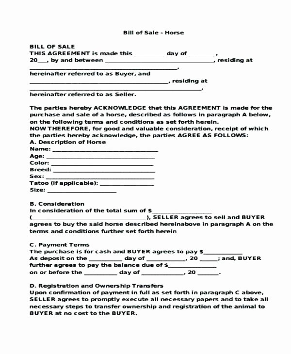35 Llc Transfer Of Ownership Agreement Sample regarding Transfer Of Business Ownership Contract Template