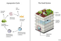 Aquaponics – Teslas For Sustainable Society intended for Aquaponics Business Plan Templates