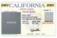 Blank Drivers License Template (7 In 2020 (With Images throughout Fake Business License Template