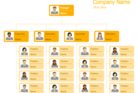 Business Structure with New Small Business Organizational Chart Template