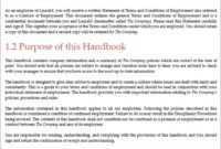 Employee Handbook Examples | Employee Handbook Template with Small Business Policy And Procedures Manual Template