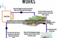 Extraordinary Resolved Aquaponic Design Take A Look At The regarding New Aquaponics Business Plan Templates