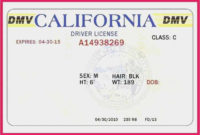 Free 50 California Drivers License Template Sample | Free intended for Fake Business License Template