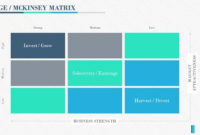 Ge/Mckinsey Matrix Powerpoint for Mckinsey Business Plan Template