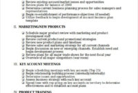 Sales Rep Business Plan Template 30 60 90 Day Plan (With pertaining to Sales Business Proposal Template